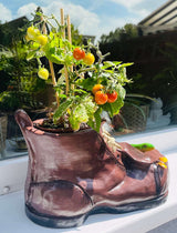 Blumentopf Pflanzentopf in Schuh Design mit Eidechse